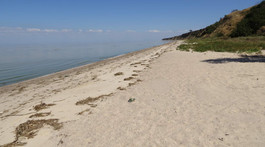 Азовское море. фото А.Тихонова